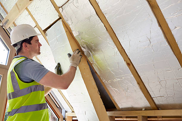 Best Types of Insulation in Waimanalo Beach, HI